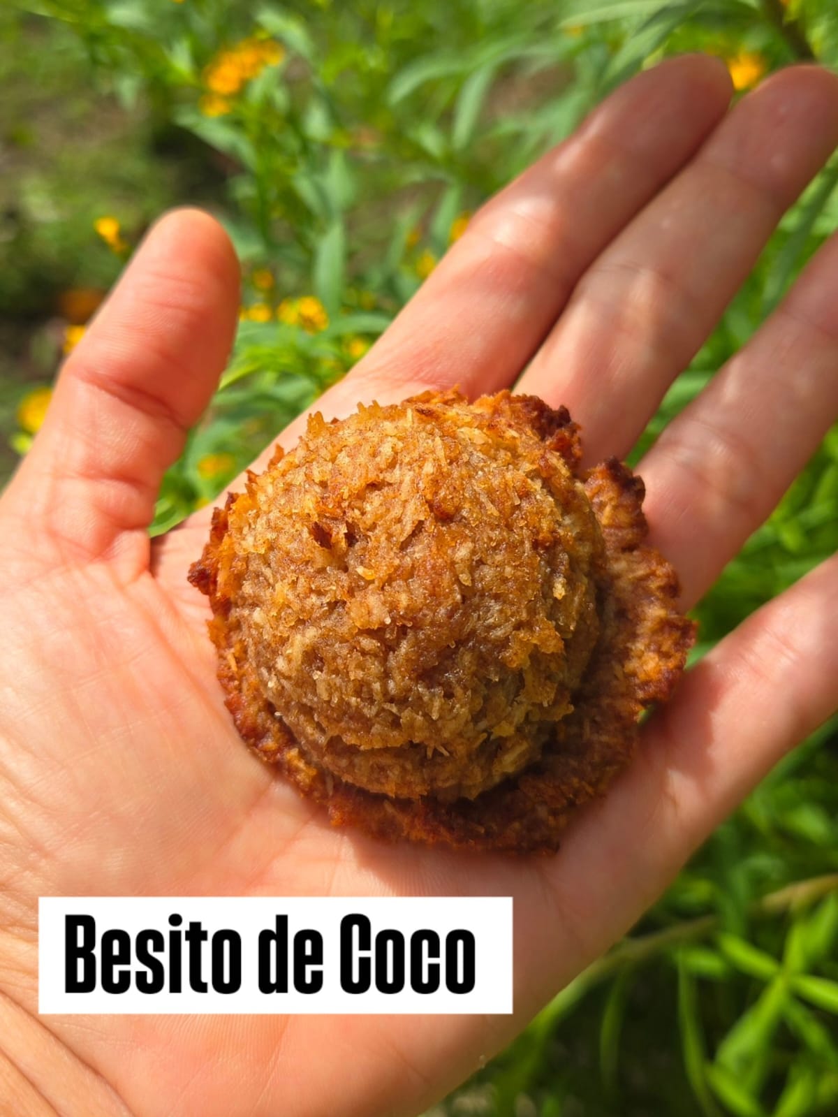 Besito de Coco